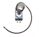 STAT289 100-450 Thermostat